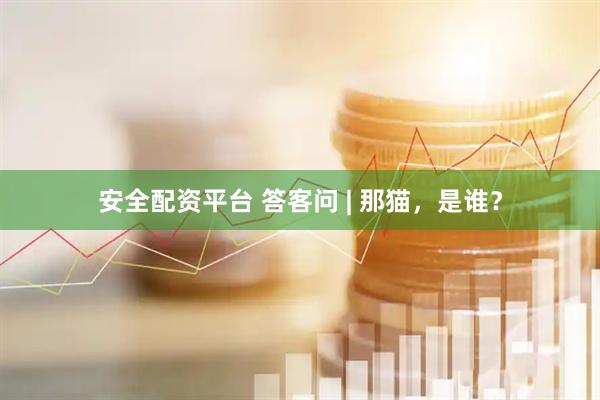 安全配资平台 答客问 | 那猫，是谁？